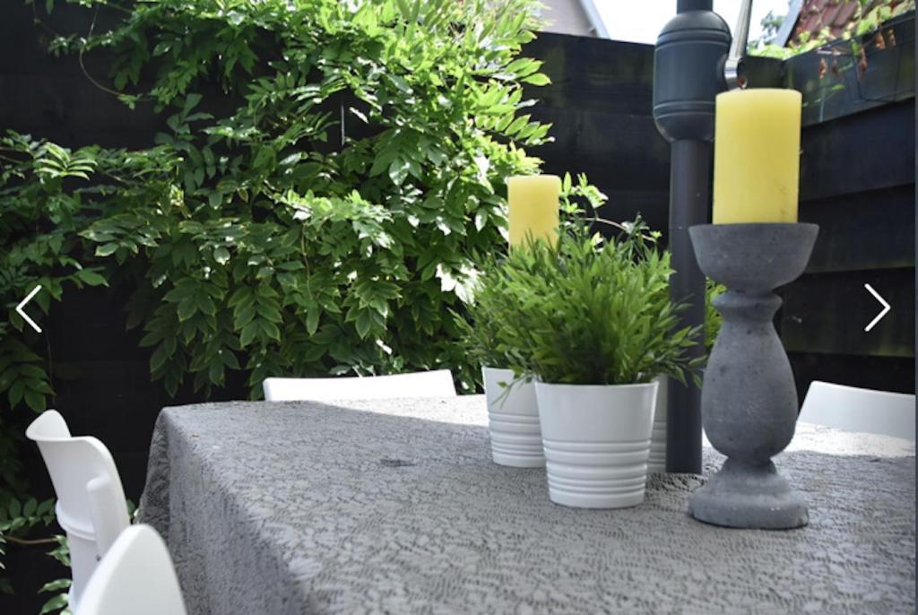 Willa Mary'S Zomerhuis Bergen Zewnętrze zdjęcie